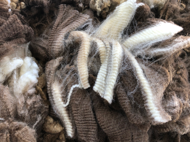 Merino Wool Fleece - wool